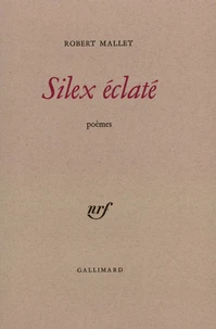Silex Eclaté