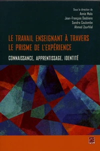 Le travail enseignant à travers le prisme de l'expérience