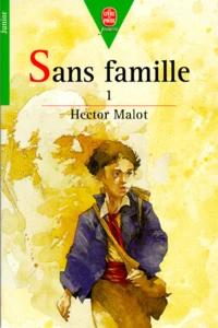 Sans Famille. Tome 1