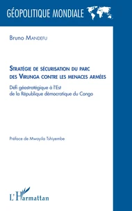 Stratégie de sécurisation du parc des Virunga contre les menaces armées