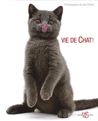 Vie de chat !