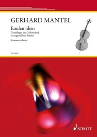 La pratique des études