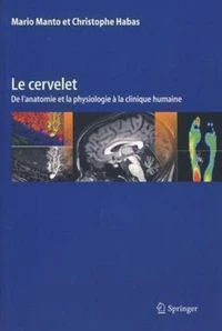 Le cervelet