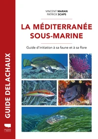 La Méditerranée sous-marine