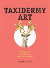 Taxidermy Art /anglais