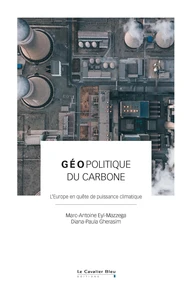 Géopolitique du carbone