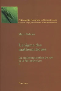 L'énigme des mathématiques : la mathématisation du réel à la métaphysique