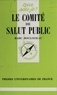 Marc Bouloiseau - Le Comité de salut public.