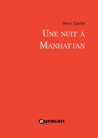 Une nuit à Manhattan