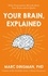 Your Brain, Explained. What Neuroscience Reveals about Your Brain and its Quirks