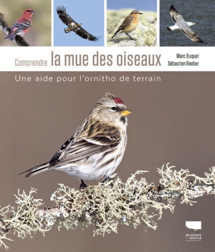 Marc Duquet et Sebastien Reeber - Comprendre la mue des oiseaux - Une aide pour l'ornitho de terrain.