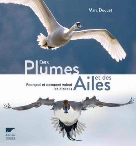 Marc Duquet - Des plumes et des ailes - Pourquoi et comment volent les oiseaux.