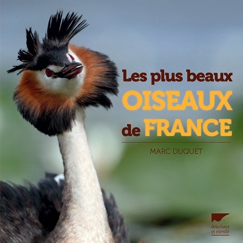 Marc Duquet - Les plus beaux oiseaux de France.