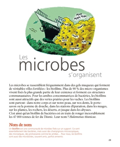 Mille milliards de microbes !. Virus, bactéries et autres minuscules alliés de notre corps