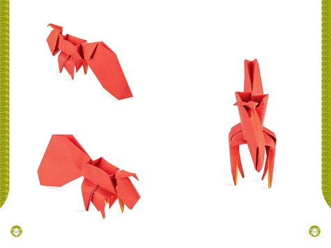 Insectes en origami