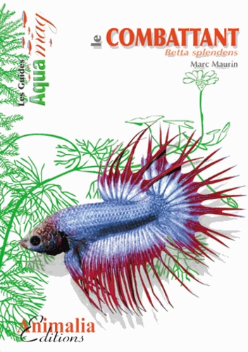 Le combattant. Betta splendens