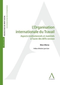 Marc Morsa - L'Organisation internationale du Travail - Aspects institutionnels et matériels à l’aune des défis sociaux.