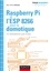 Raspberry Pi et l'ESP 8266 pour la domotique. 12 réalisations pas à pas