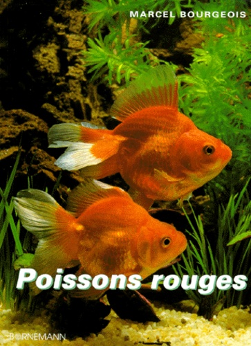 Marcel Bourgeois - Poissons rouges - Élevage et reproduction.