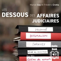 Les dessous des affaires judiciaires 2014