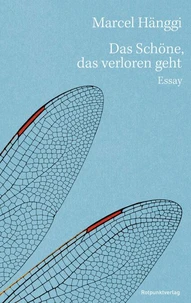 Das Schöne, das verloren geht
