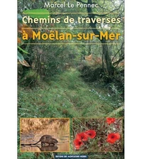Chemins de traverses à Moëlan-sur-Mer