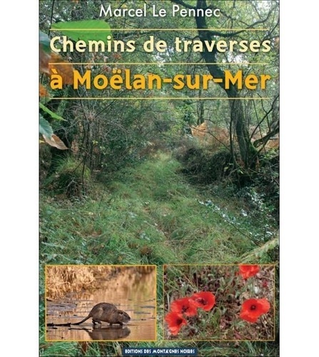Marcel Le Pennec - Chemins de traverses à Moëlan-sur-Mer.
