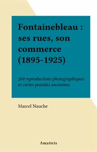 Fontainebleau : ses rues, son commerce