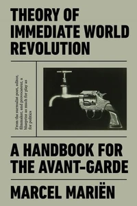 Theory of Immediate World Revolution