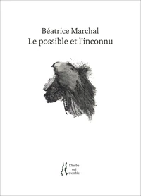 Le possible et l'inconnu