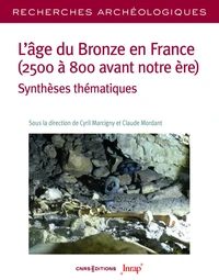L'âge du Bronze en France (2500 à 800 avant notre ère)