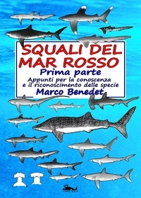  Marco Benedet - Squali del Mar Rosso - 1a parte.
