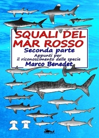  Marco Benedet - Squali del Mar Rosso - 2a parte Le specie.