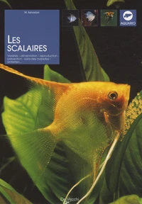 Les scalaires