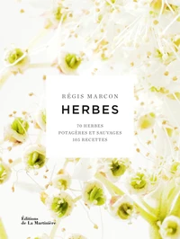 Herbes