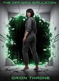 The Off-Grid Simulation