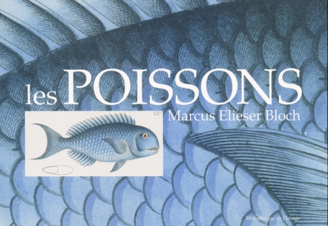 Marcus-Elieser Bloch - Les Poissons.