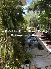 A Point In Time: Short Essays