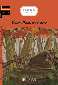 Uber Stock und Stein