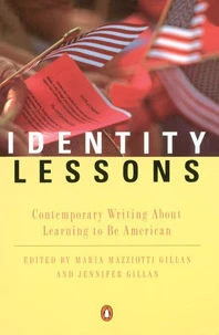 Identity Lessons