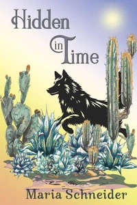 Hidden in Time