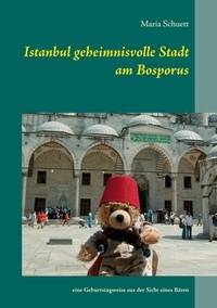Maria Schuett - Istanbul geheimnisvolle Stadt am Bosporus - eine Geburtstagsreise aus der Sicht eines Bären.