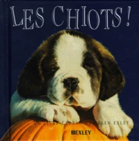 Les Chiots !