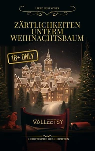 Zärtlichkeiten unterm Weihnachtsbaum  | 6 Erotische Geschichten | Liebe Lust &amp; Sex