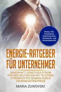 Energie-Ratgeber für Unternehmer
