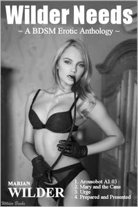Wilder Needs - A BDSM Erotic Anthology