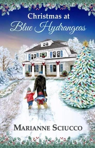 Christmas at Blue Hydrangeas