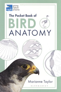Marianne Taylor - The Pocket Book of Bird Anatomy.