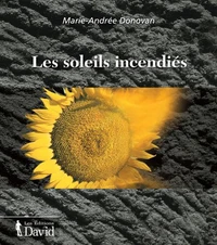 Les soleils incendies : recit