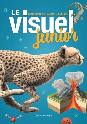 Couverture de Le visuel junior : dictionnaire français-anglais